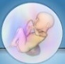 UnbornJesus
