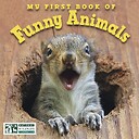 funny00animals