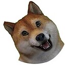 woof2tv