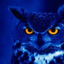 TheNightowl