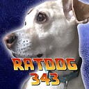 Ratdog343