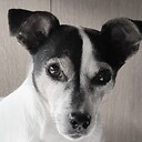 aantje
