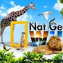 Nationalgeographic123videos