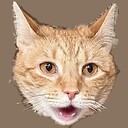 0xStoni