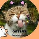 CatsTalk