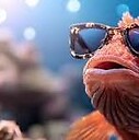 OWFishy