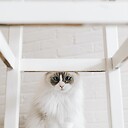 MrMax0211