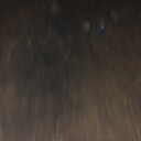 4nemtoolit