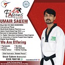falconsTaekwondo