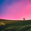 Naturemp4