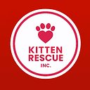 kittenrescueinc