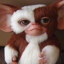Gizmo95