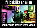 vanALIEN