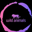 wildanimals11