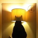 LenaCat101