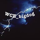 WCEbigdog