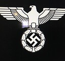 Holistic_Aryan