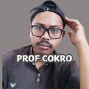 profcokro