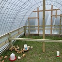 TorresFamilyFarm