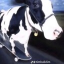 tyronethecow