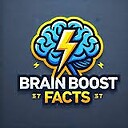 BrainBoostFacts9