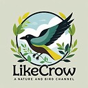 LikeCrow