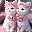 Sandeep_01