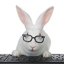 WhitePaperRabbit