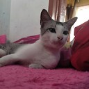 Nuryandi