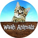 waahanimals