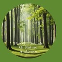 PeacefulSoundsOfNatureAmbience