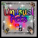 Unusualpets