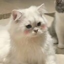 whittakeramary