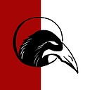 Magpie_video