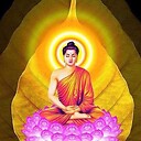 Buddha564