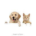 Catndogvibez