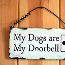 pitbulldoorbell