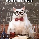 ProfessorKatz