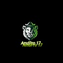 PubgAmdPro17