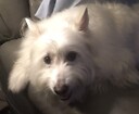 Ilovemax