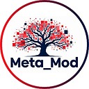 metamod