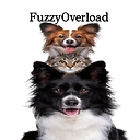 FuzzyOverload