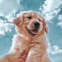Dogslovers1290