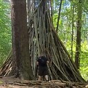 LongIslandBigfoot