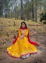 Mamta_Bora473