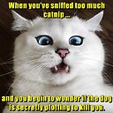 EllenDeGenerate20