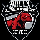 bullybehavioral