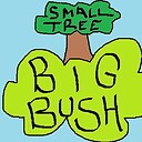 BigBushSmallTree