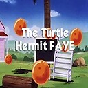 theturtlehermitFAYE