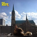 Petvideos4all